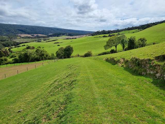 Tahakopa Valley Road Catlins Surrounds_3