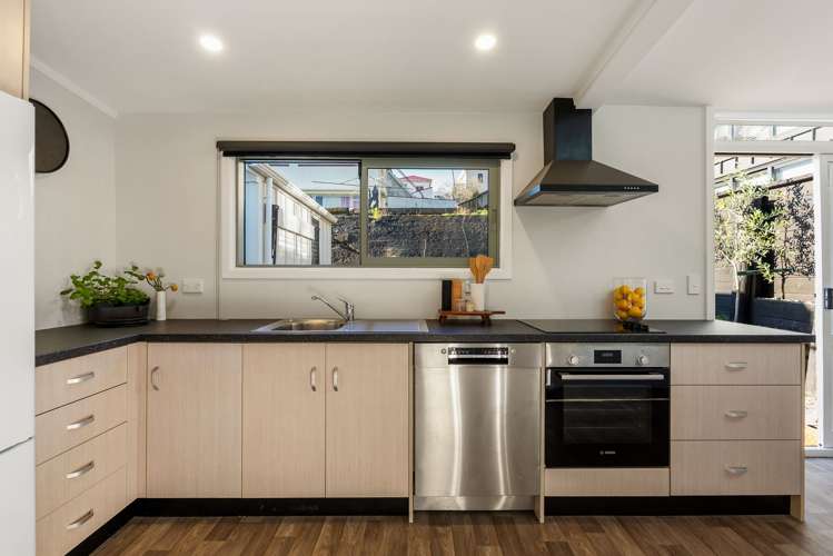 97 Elizabeth Street Mount Victoria_7