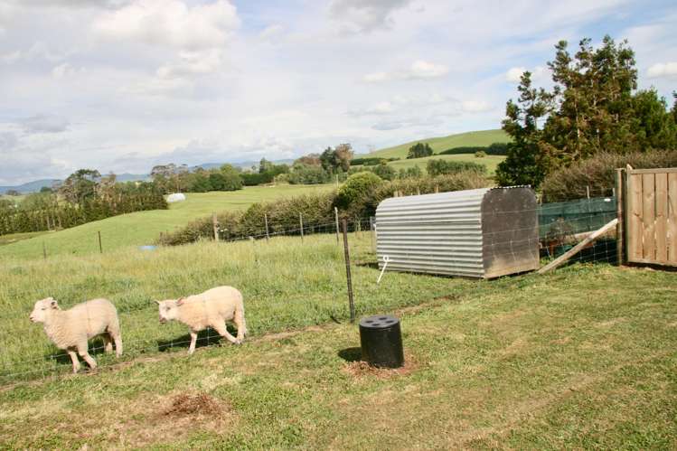 614 Falls Road Waerenga_30