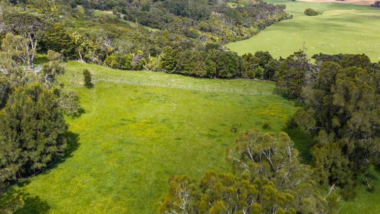 89 Hamilton Road Waimauku_31