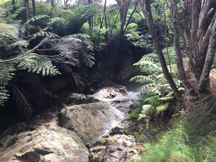 17 Pekama Drive Cable Bay_8