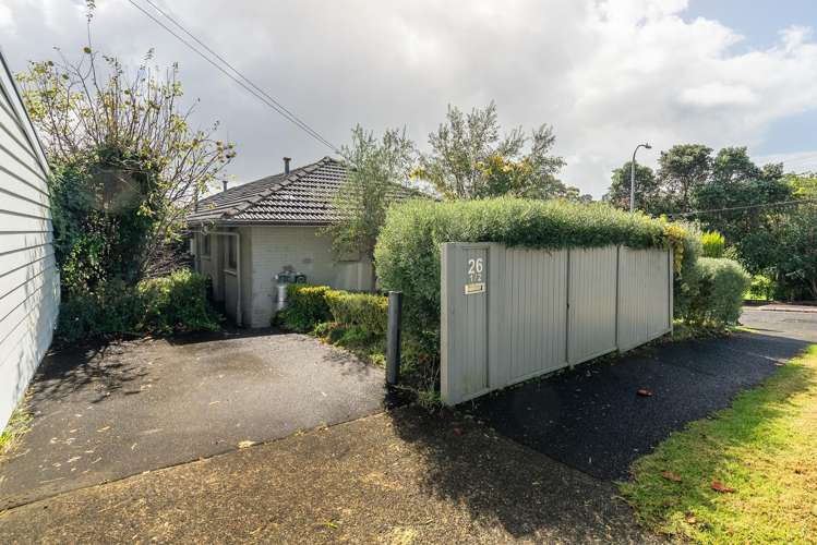 26 Allen Road Grey Lynn_14