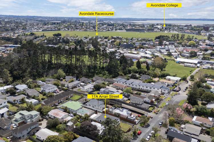 17A Arran Street Avondale_19