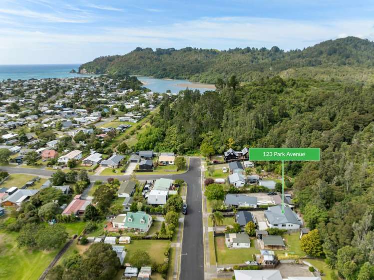 123 Park Avenue Whangamata_29