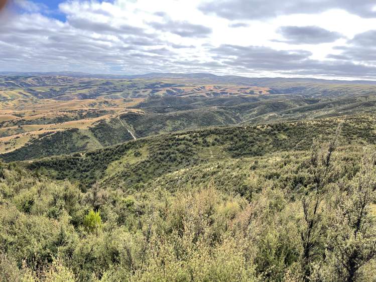 732 Beaumont Highway Clutha_11