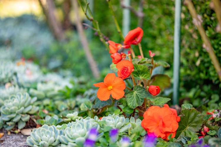 99 Dinsdale Road Dinsdale_46