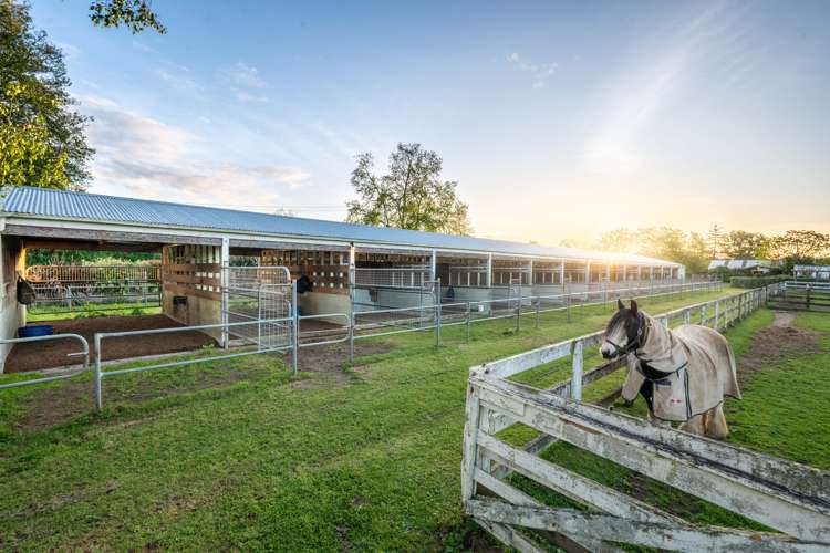 91 Forrest Road Cambridge_4