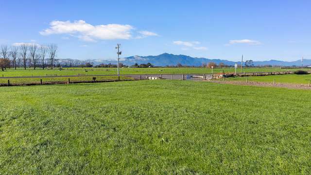 No 1 Road Morrinsville_3