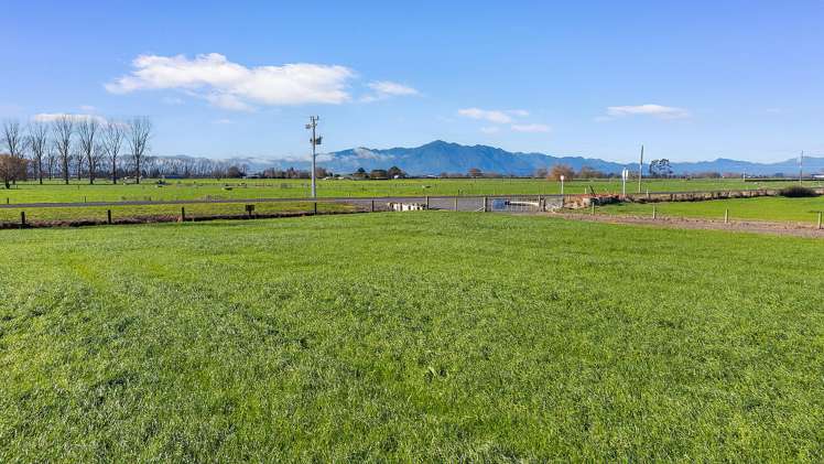 No 1 Road Morrinsville_3