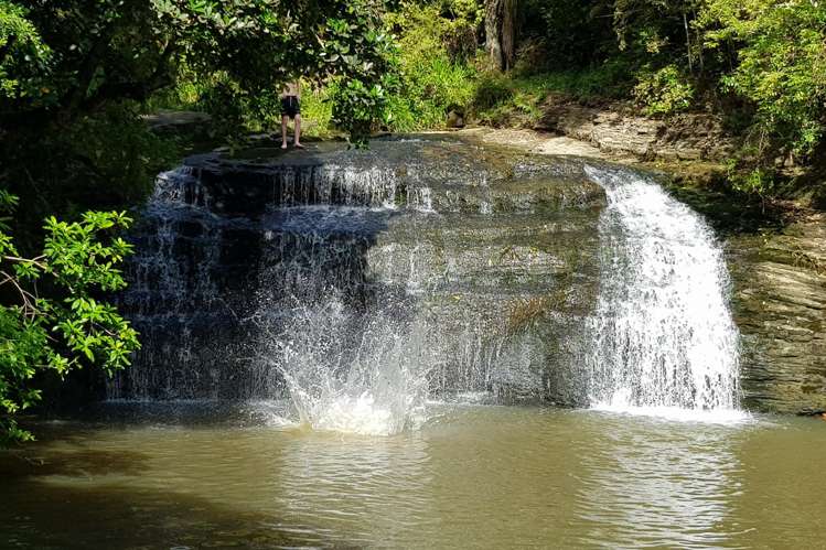 17 Carol Lee Place Albany Heights_32