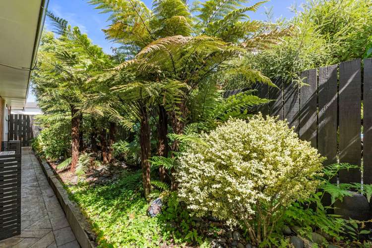 13 Donegan Place Conifer Grove_28