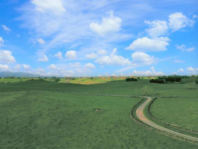 356 Whatauri Road Wharepapa South_1