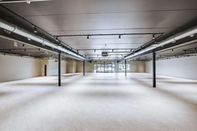 22 Munroe Street Napier South_2