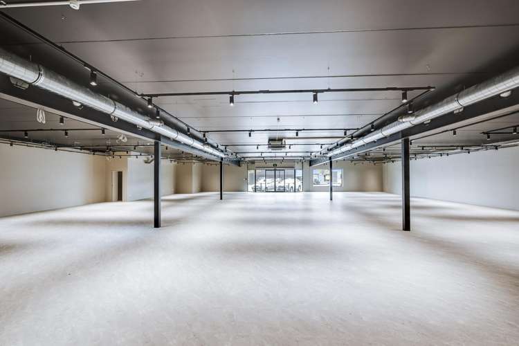 22 Munroe Street Napier South_2