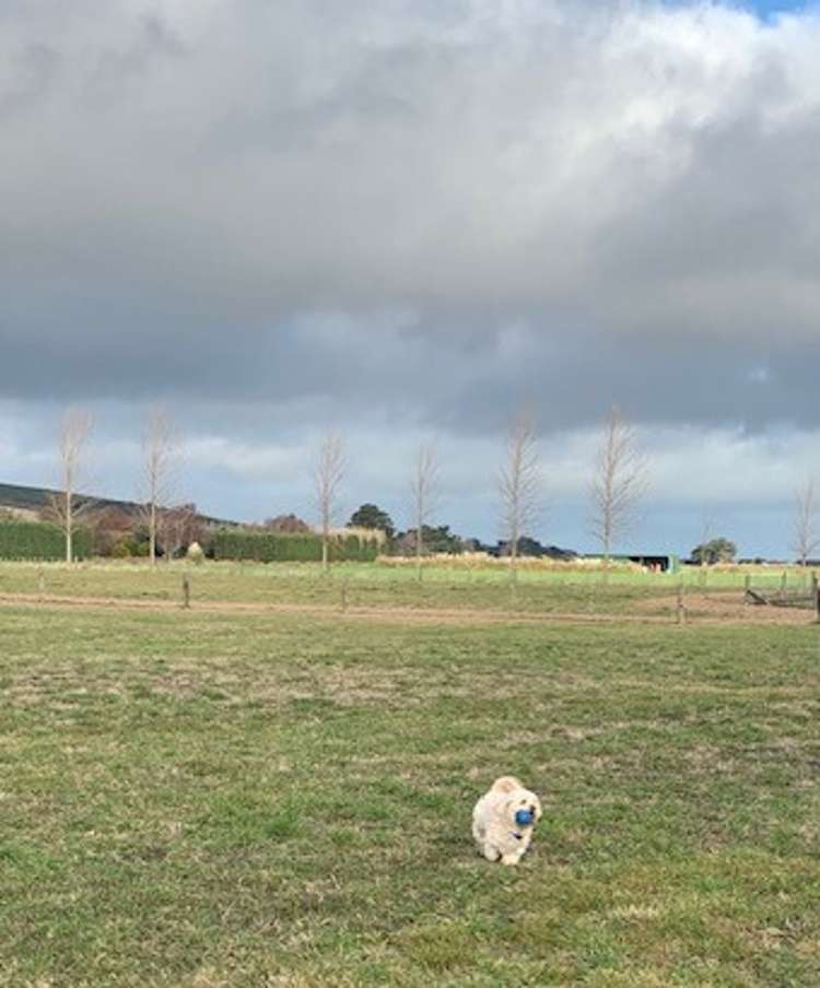 3 Gibraltar Close Tai Tapu_11