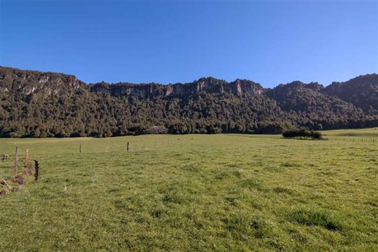 Apirana Road Horohoro_8