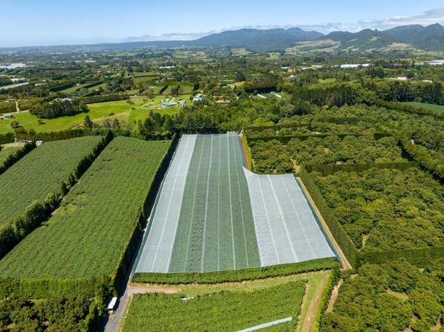 140C Wharawhara Road Tahawai_1