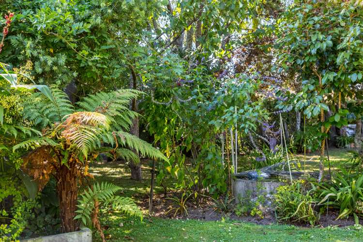 118 West Street Greytown_16