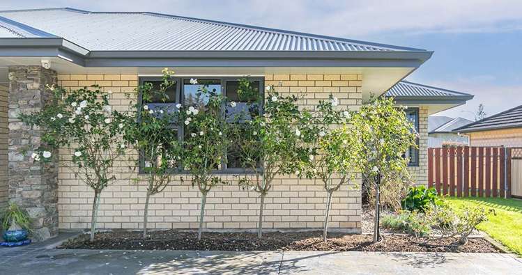 57 Ritchie Street Te Aroha_5