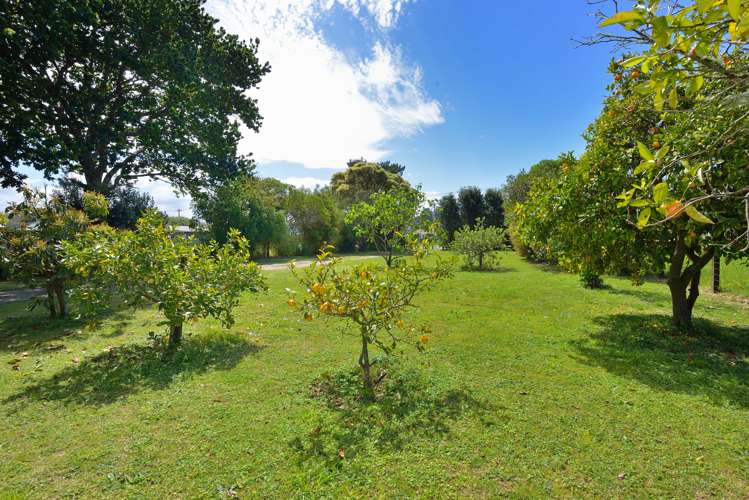 14 Monkhouse Street Tolaga Bay_21