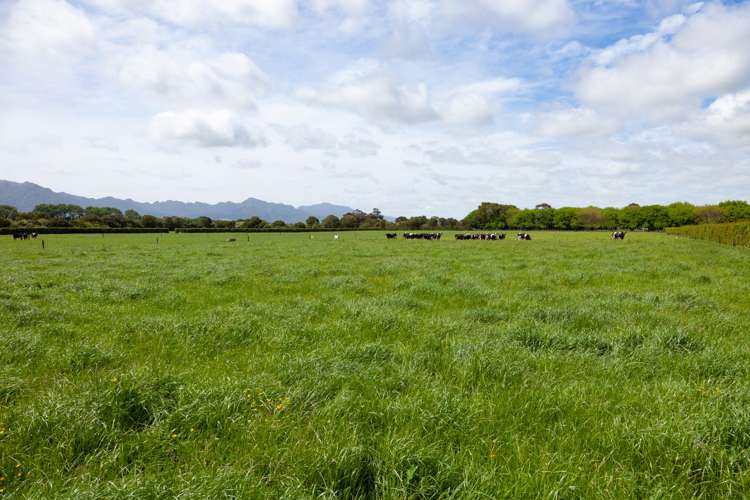 231a Stanley Road Te Aroha_9