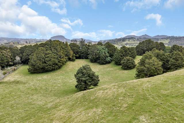 Lot 1, 106 Totara Park Lane Glenbervie_1
