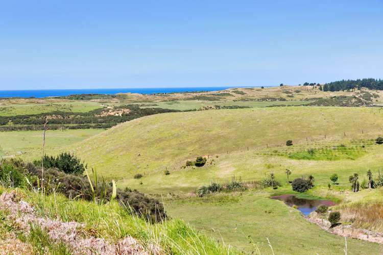 81 Blue Horizon Road Whangarei Heads_14