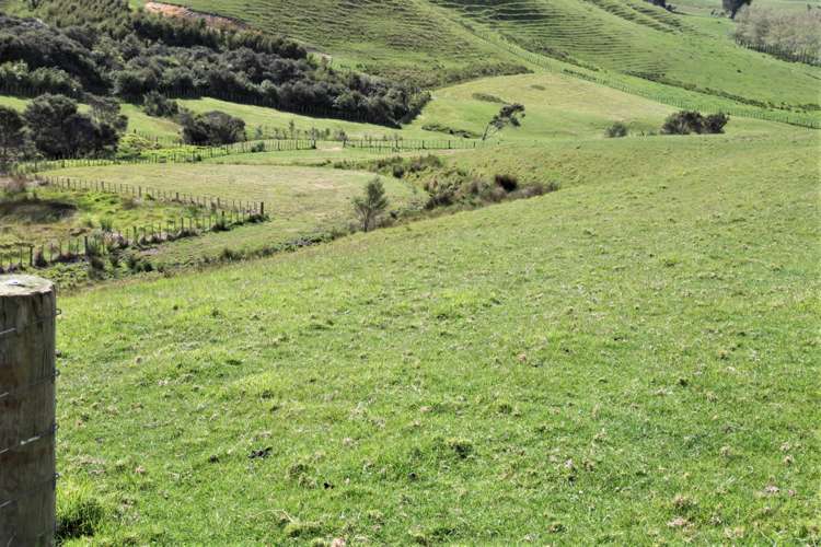 152 Evans Road Papamoa_2