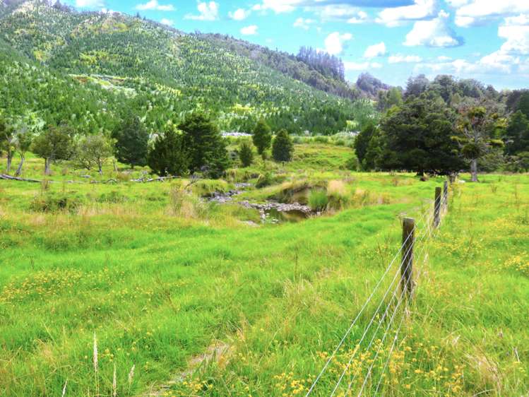 2218 Tangowahine Valley Road Dargaville Surrounds_18