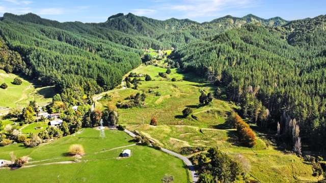 Okaihae Road Taumarunui_3