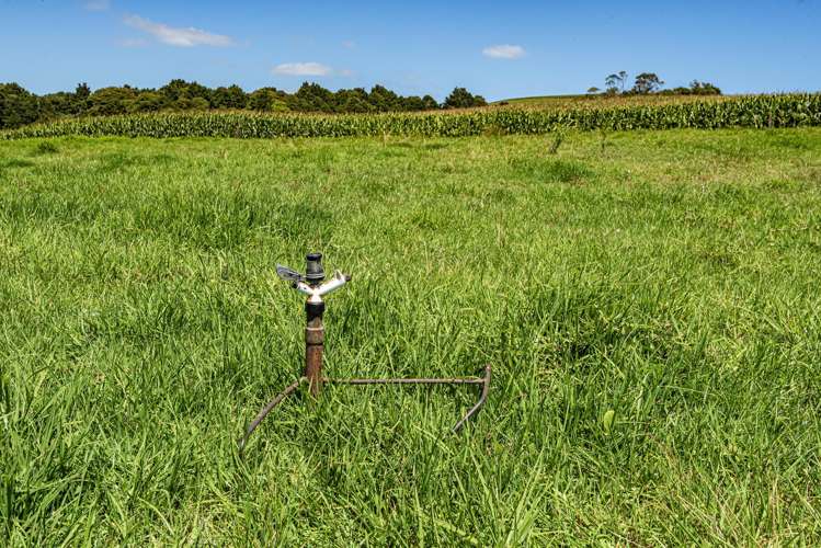 731 Puhipuhi Road Whakapara_25