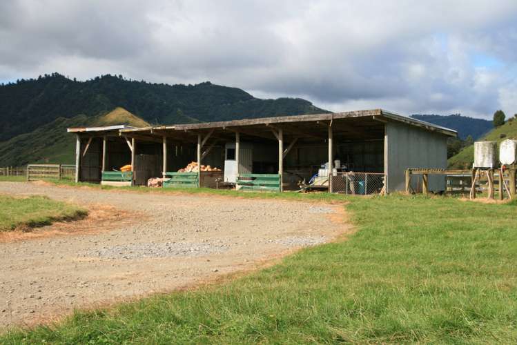 1110 Mangaehu Road Pohokura and Surrounds_9