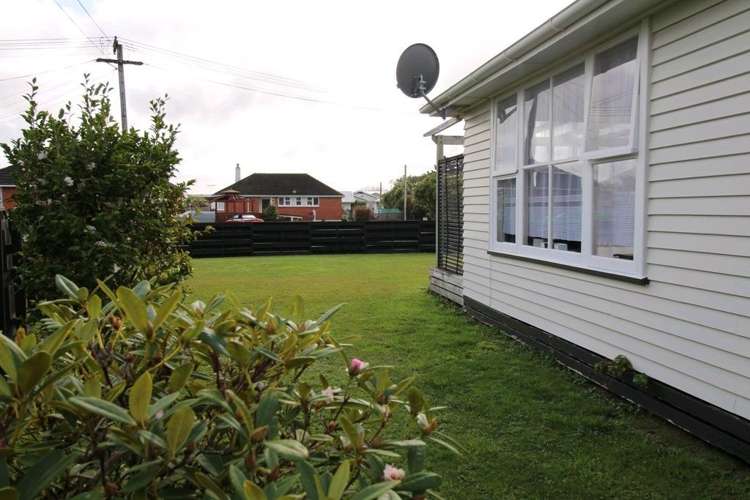 20 Ward Street Bulls_30