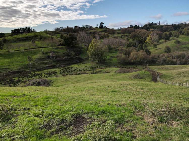 4287 Highway 22 Pepepe_7