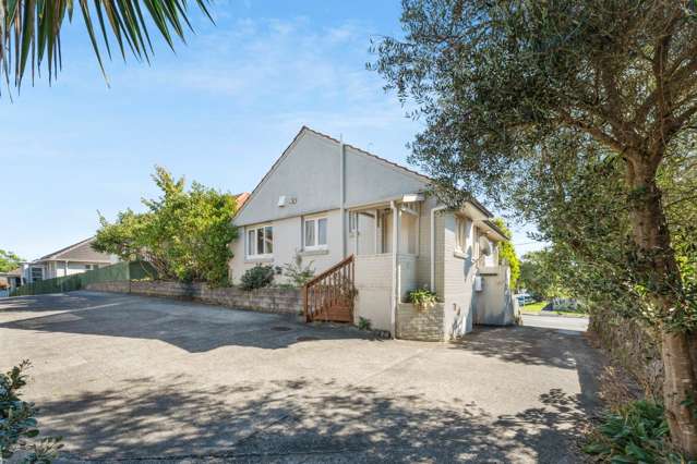 878 Dominion Road Mt Eden_1