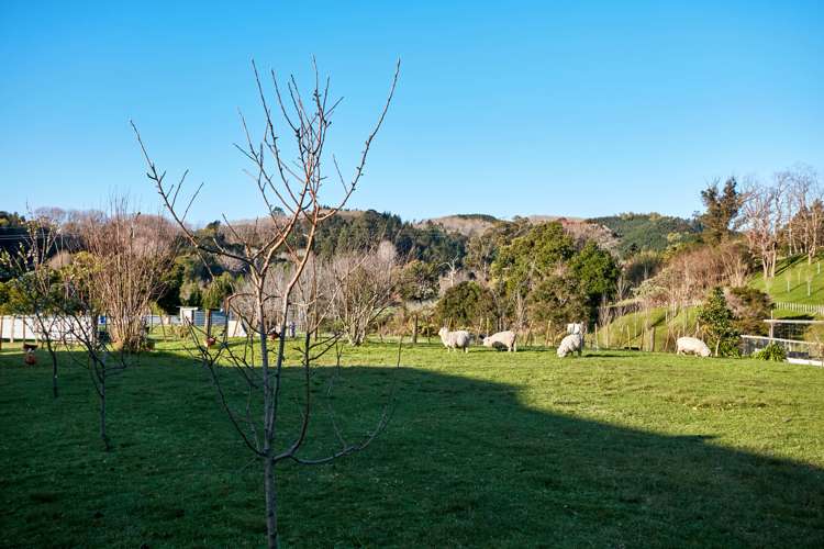 55 Ayton Street Mangapapa_10