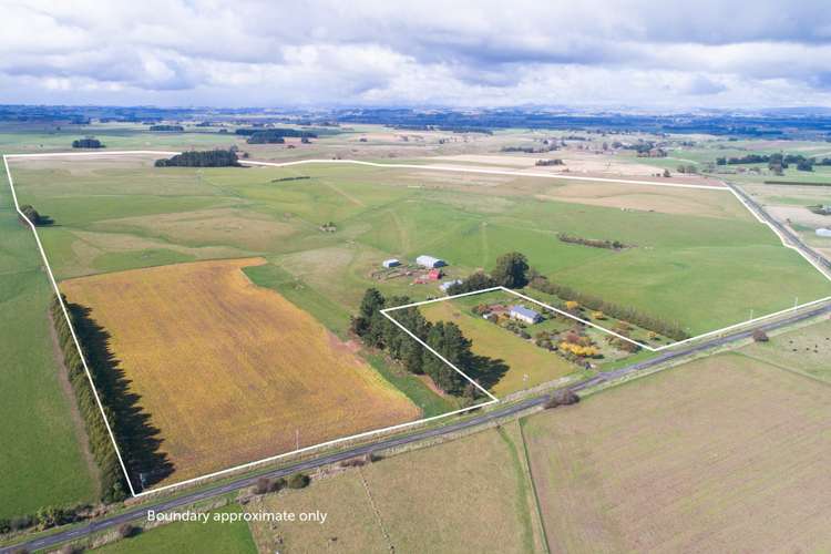 63b Sligo Terrace Roslyn_0