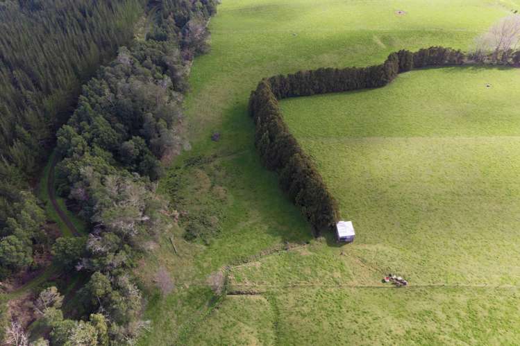 160 Mcwatt Road Waitakaruru_2