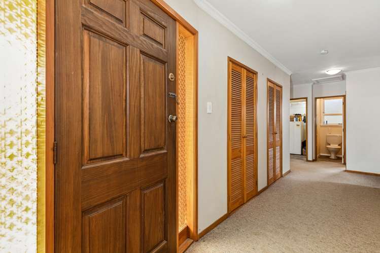 20B Alma Street Renwick_9