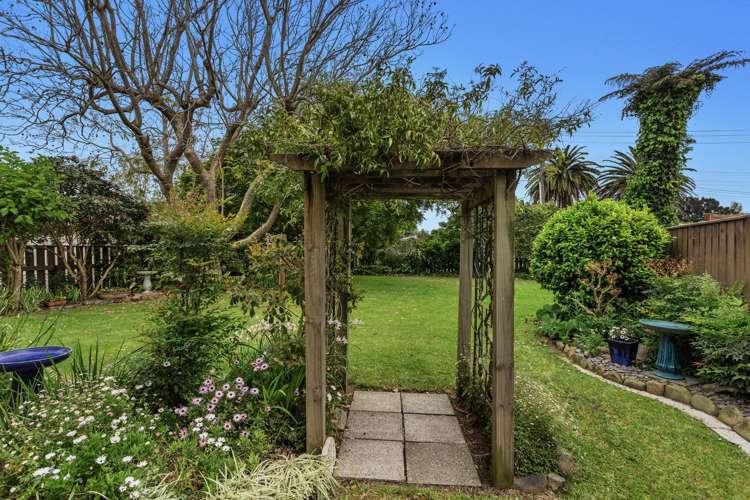 123 College Road Edgecumbe_19