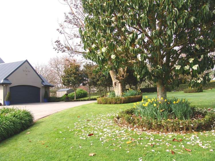 121 Leger Grove Te Awamutu_6