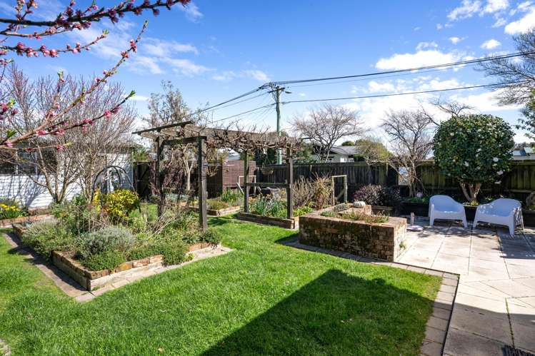 41 Selwyn Street Somerfield_26