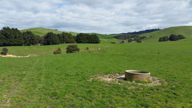 Morrinsville-Tahuna Road Morrinsville_15