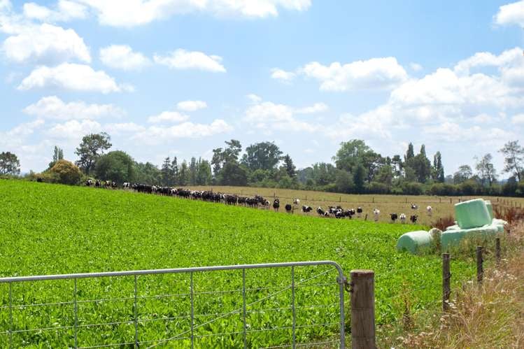 609 Okoroire-Te Poi Road Hauraki Surrounds_15