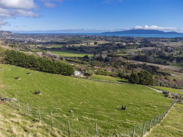 251 Huia Street Waikanae_2