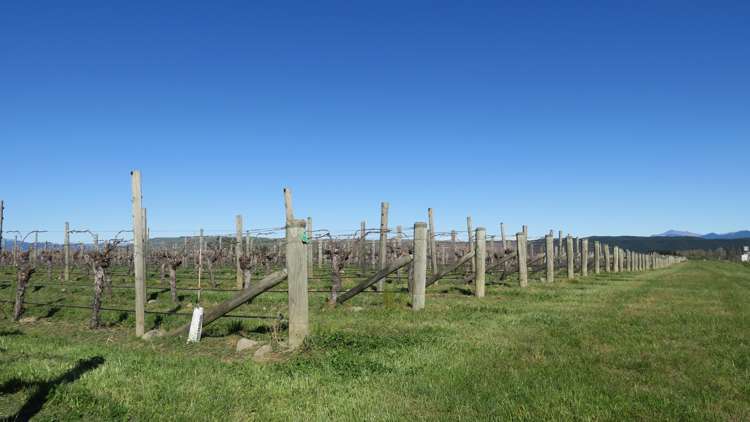 708 Waihopai Valley Road Waihopai Valley_7