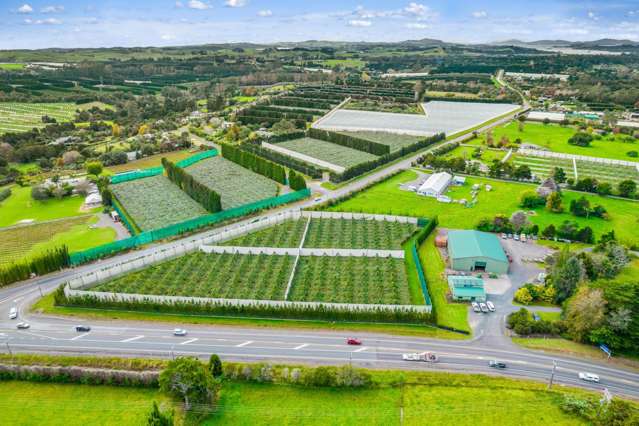 2206 State Highway 10 Kerikeri_2