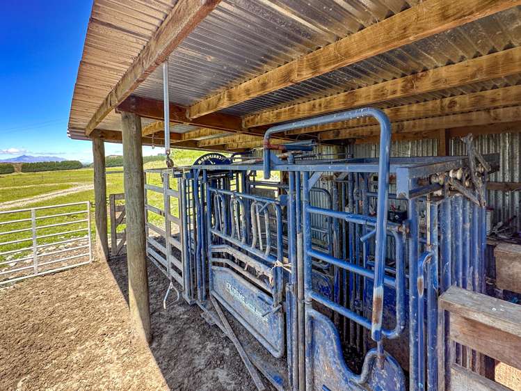 1338 Kakapo Road Te Anau Surrounds_23