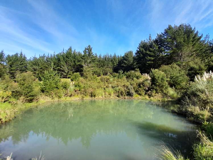 632a Sawyer Road Mangonui_19