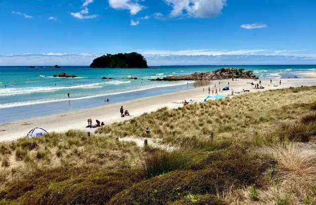 11/36C Maunganui Road Mt Maunganui_2